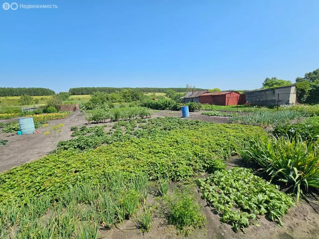 Дом в Ульяновская область, Майнское городское поселение, село ... - Фото 0