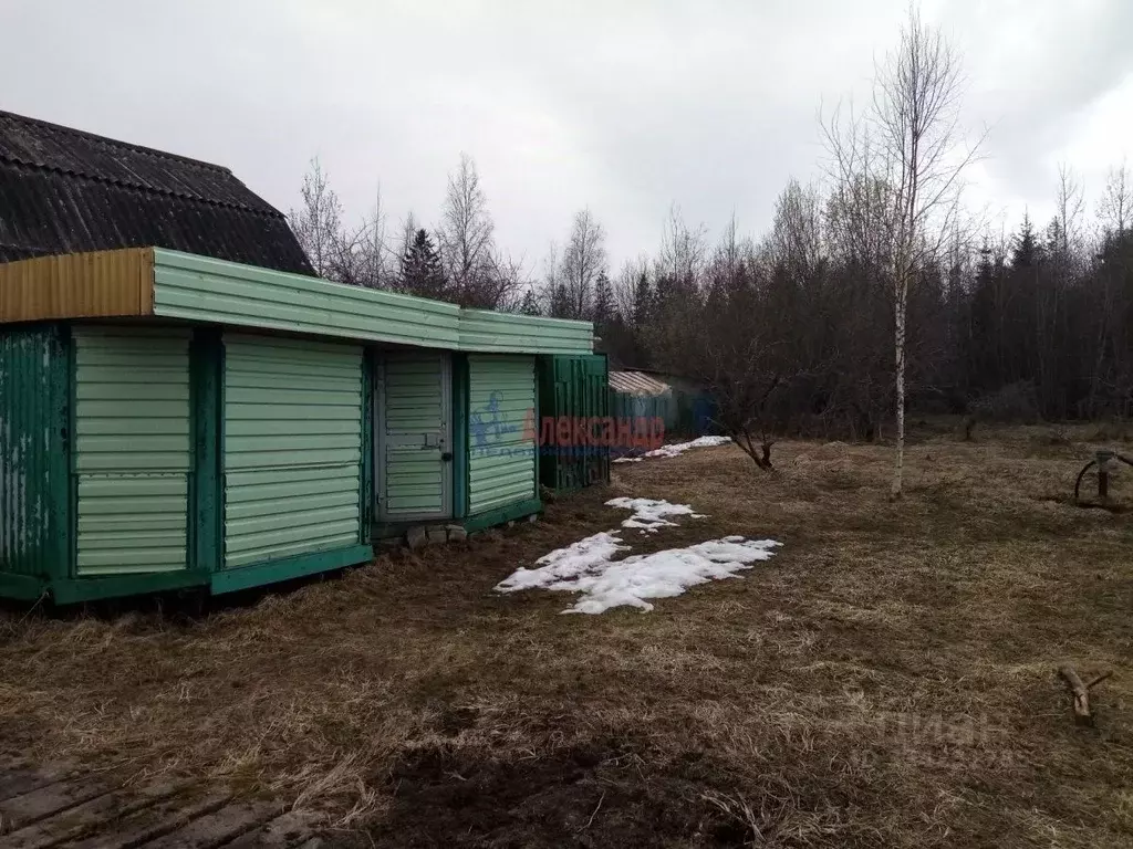 Участок в Ленинградская область, Волхов 6-я линия, 200 (6.0 сот.) - Фото 2