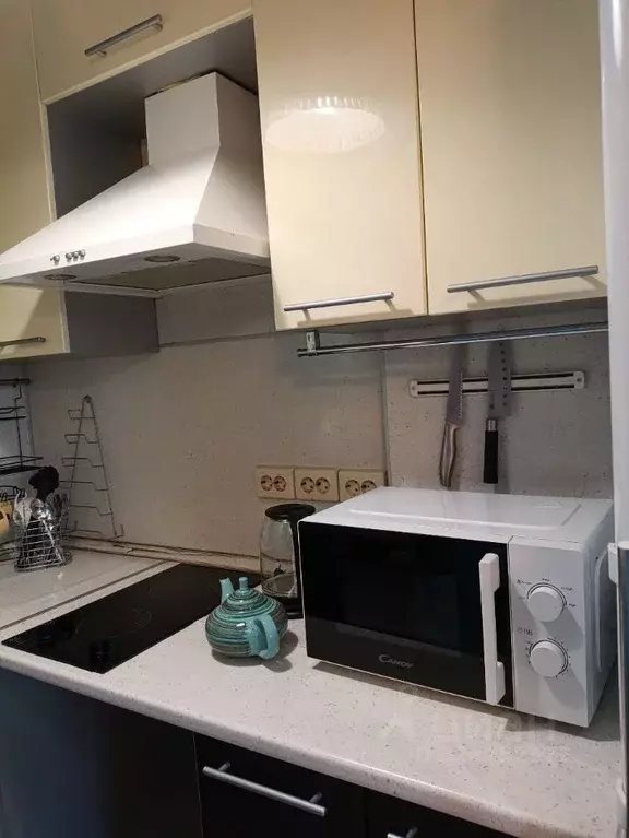 Студия Московская область, Одинцово Северная ул., 5к4 (28.8 м) - Фото 0