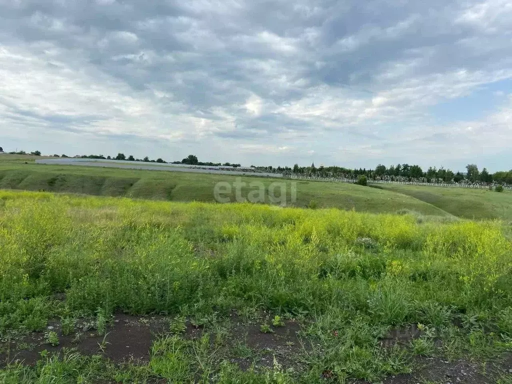 Участок в Белгородская область, Губкин ул. Свободная, 14 (19.8 сот.) - Фото 0