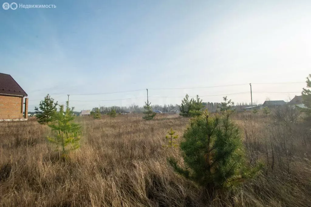 Участок в село Архангельское, микрорайон Зенит, Осиновая улица (4 м) - Фото 1