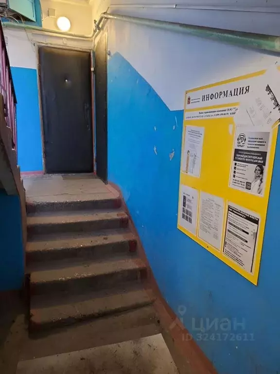 2-к кв. Московская область, Ногинск Богородский городской округ, ул. ... - Фото 2