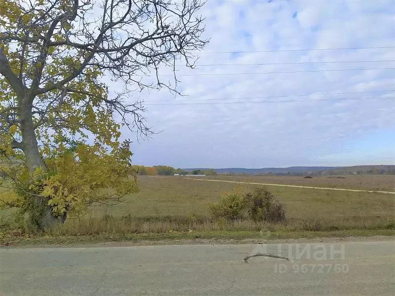 Купить Дом В Нововасильевке Бахчисарайского