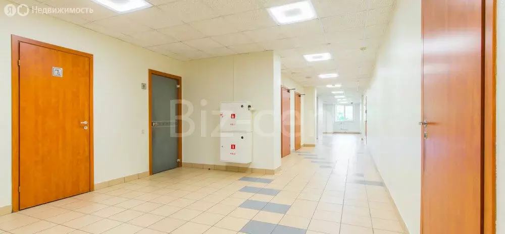 Офис (174.7 м) - Фото 2