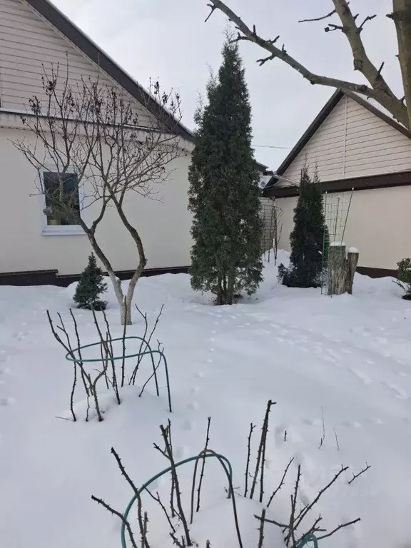 Дом в Орловская область, Орел ул. Циолковского, 56 (54 м) - Фото 1