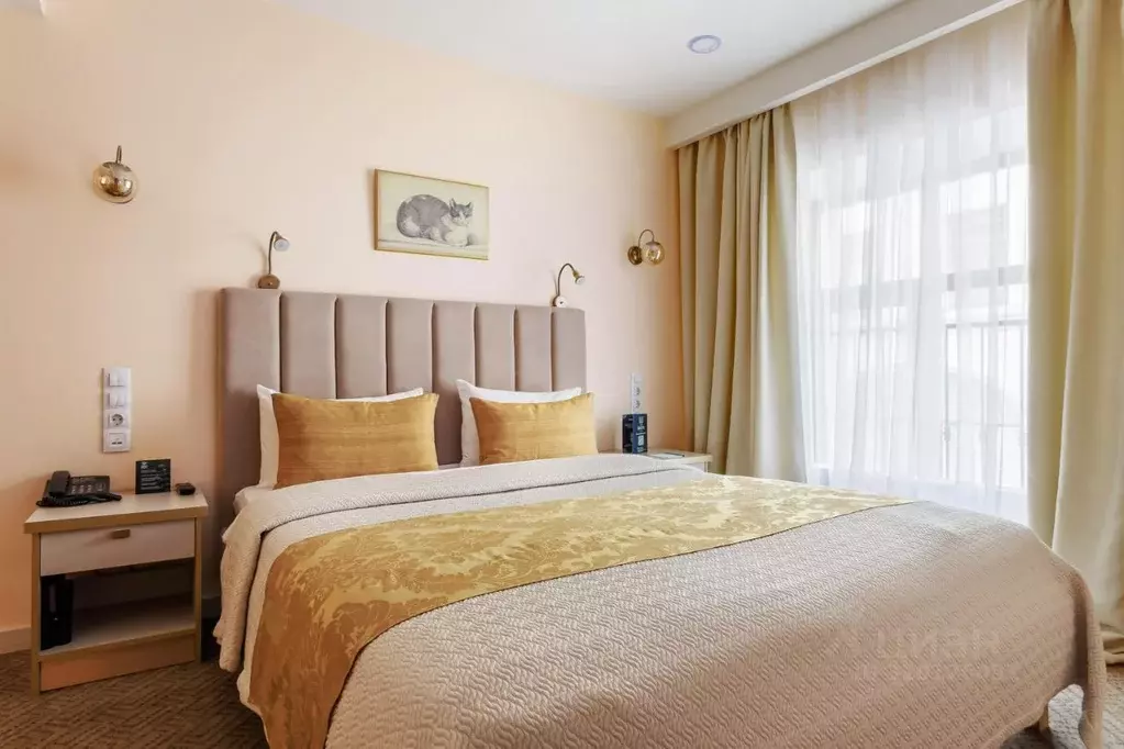 Комната Санкт-Петербург Мучной пер., 2 (17.0 м) - Фото 2