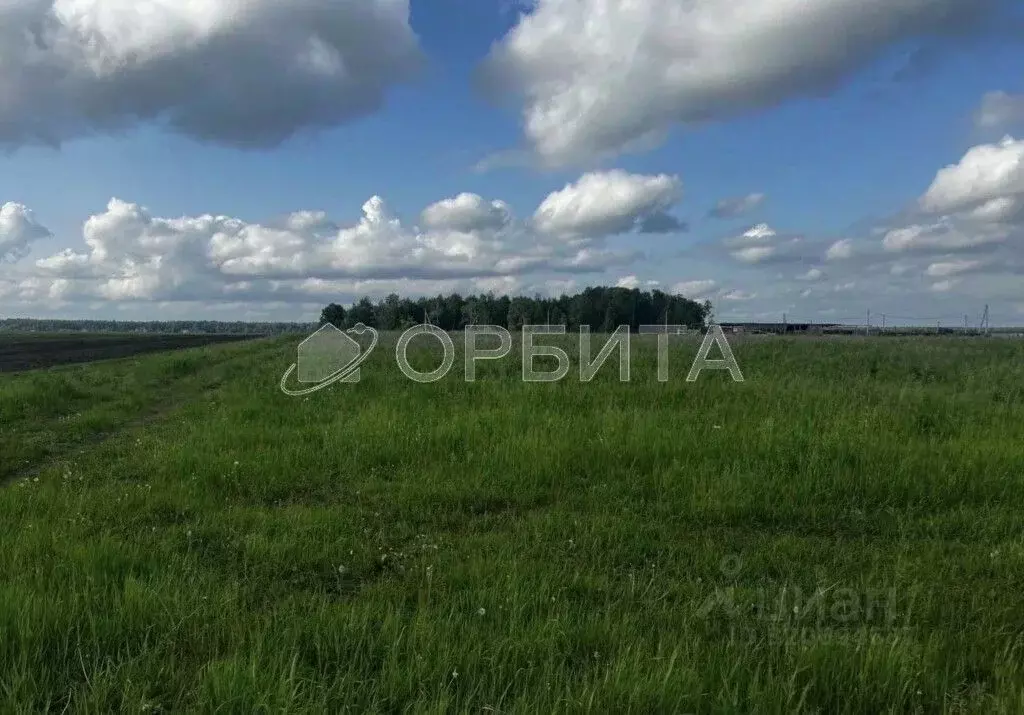 Участок в Свердловская область, Тугулым пгт  (12.5 сот.) - Фото 0