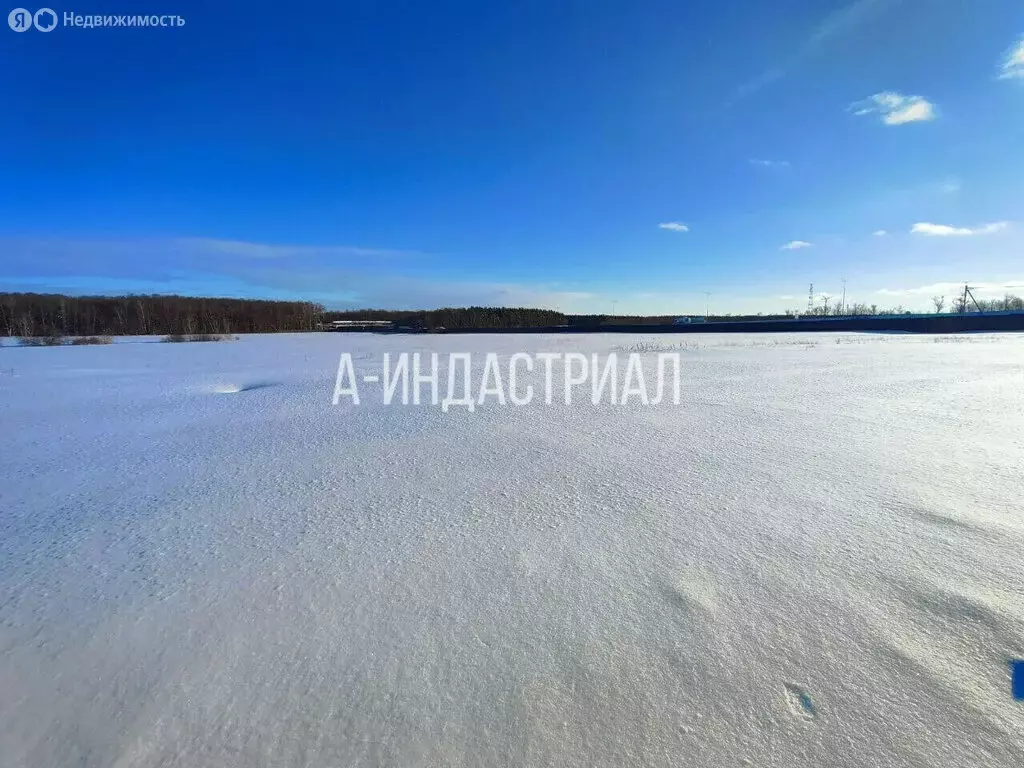 Участок в микрорайон Белые Столбы, Рождественская улица, 1 (100 м) - Фото 2