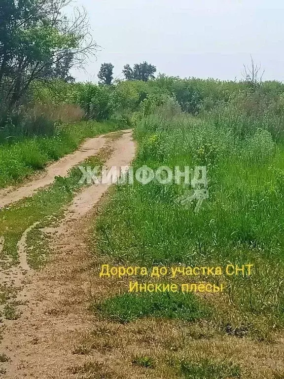 Участок в Новосибирская область, Новосибирский район, Новолуговской ... - Фото 1