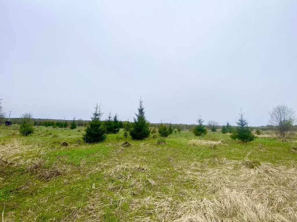 Участок в Московская область, Наро-Фоминский городской округ, д. ... - Фото 1