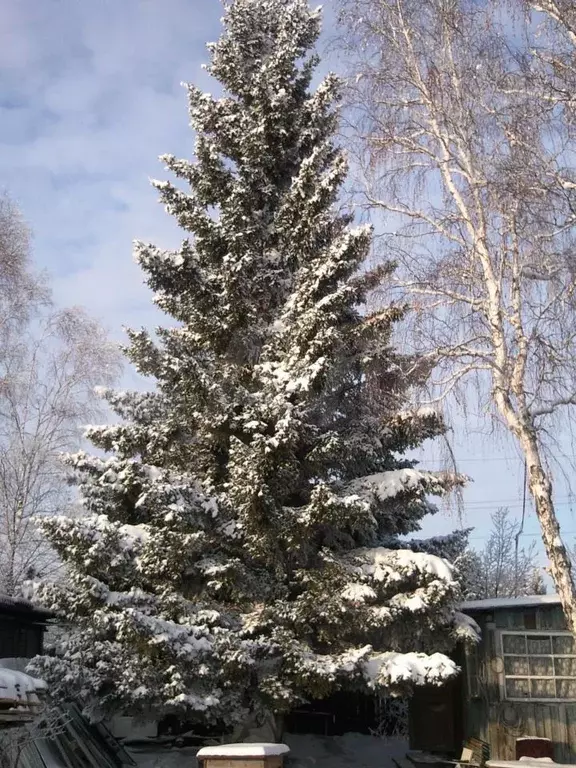 Купить Дом В Иркутске Новогрудинино