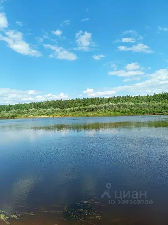 Участок в Нижегородская область, Бор  (19.0 сот.) - Фото 1