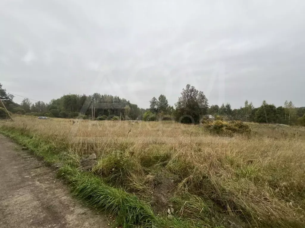 Участок в Ленинградская область, Приозерский район, Мельниковское ... - Фото 2