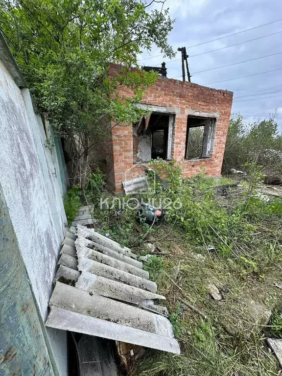 Участок 6 сот. (СНТ, ДНП) - Фото 1