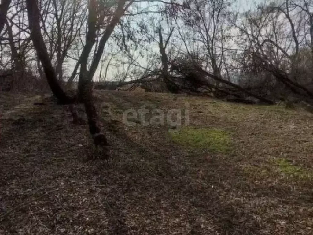 Участок в Курская область, Курский район, Бесединский сельсовет, с. ... - Фото 1