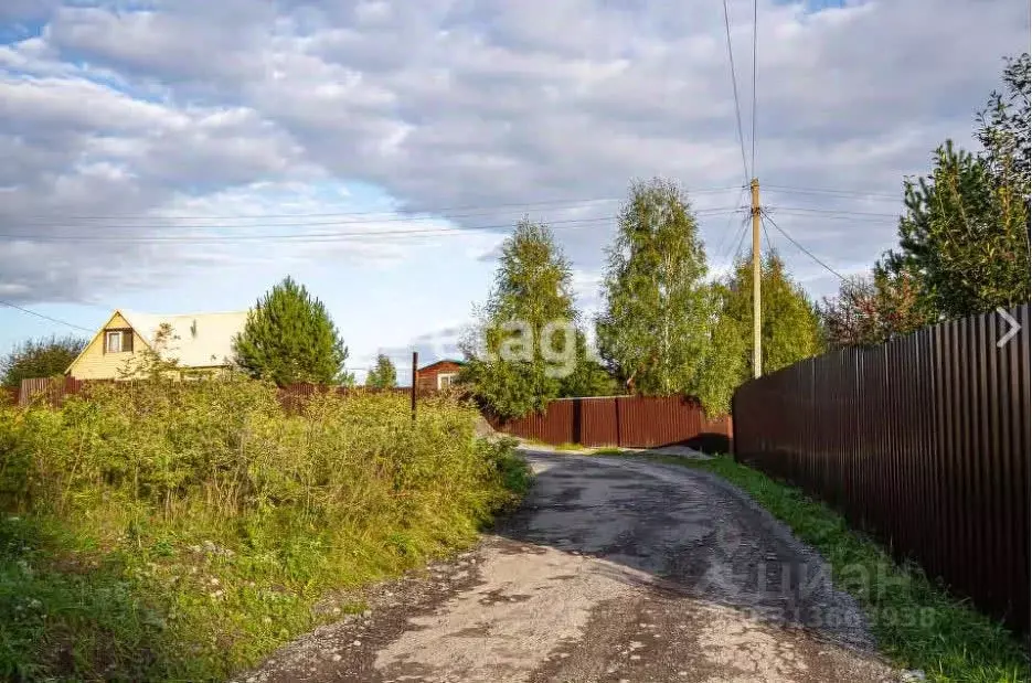 Участок в Новосибирская область, Новосибирск Садоводческого ... - Фото 1