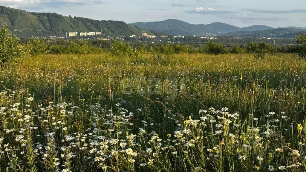 Участок в Алтайский край, Алтайский район, Айский сельсовет, с. Ая  ... - Фото 1