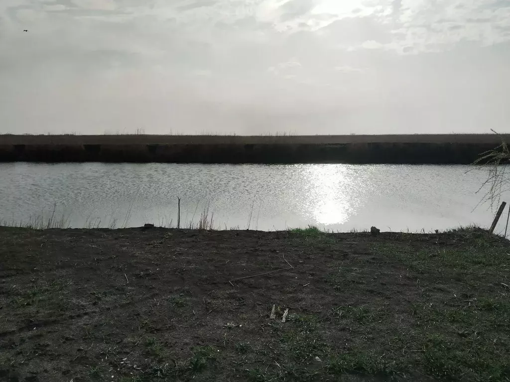 Участок в Краснодарский край, Калининский район, Гривенское с/пос, ... - Фото 2