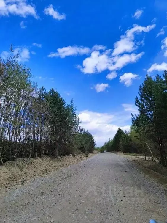 Участок в Иркутская область, Иркутский муниципальный округ, Маркова рп ... - Фото 1