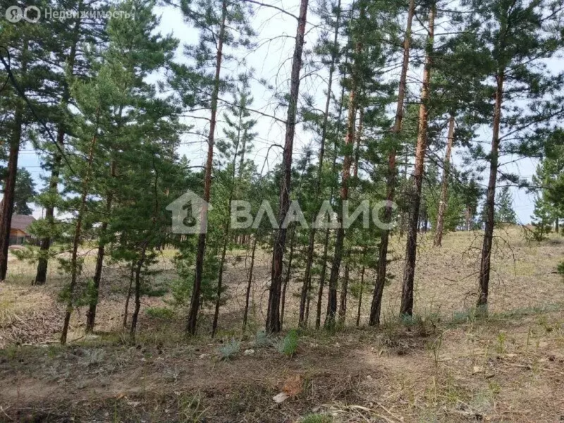 Участок в Улан-Удэ, улица Солбона Ангабаева, 260 (8 м) - Фото 1
