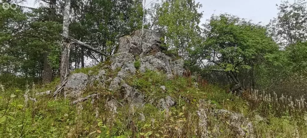 Участок в Республика Карелия, Лахденпохский муниципальный округ, ... - Фото 1