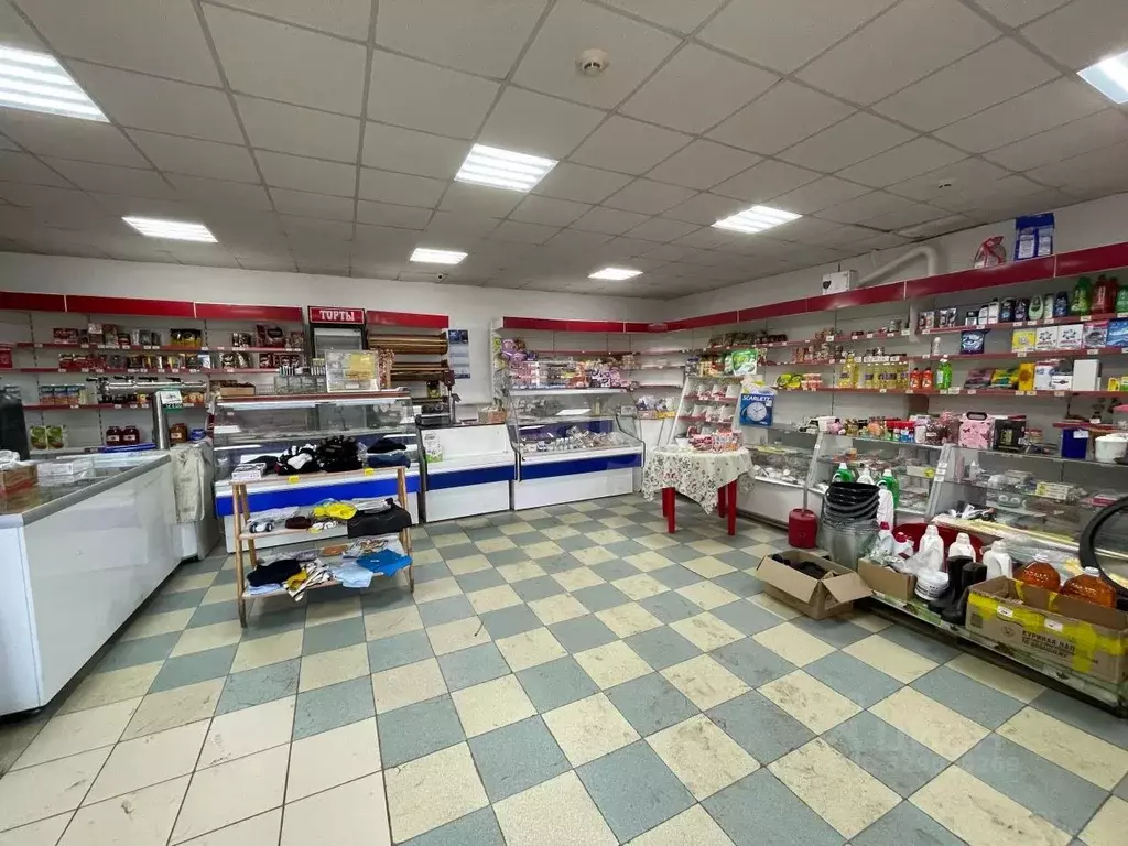 Помещение свободного назначения в Алтайский край, Солтонский район, с. ... - Фото 1