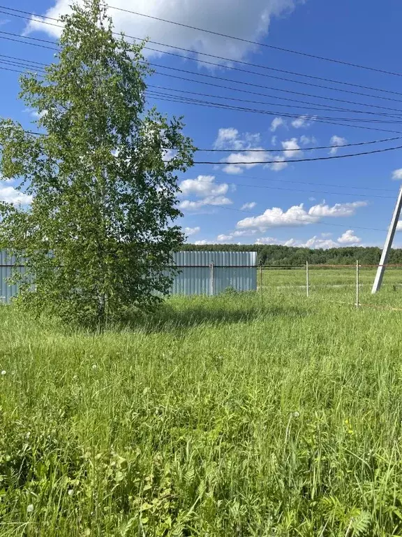 Участок в Московская область, Дмитровский муниципальный округ, д. ... - Фото 2