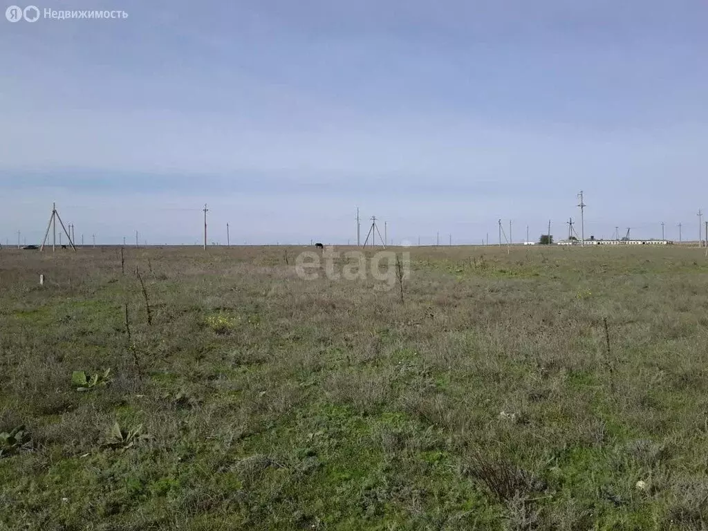 Участок в Черноморский район, Медведевское сельское поселение, село ... - Фото 1