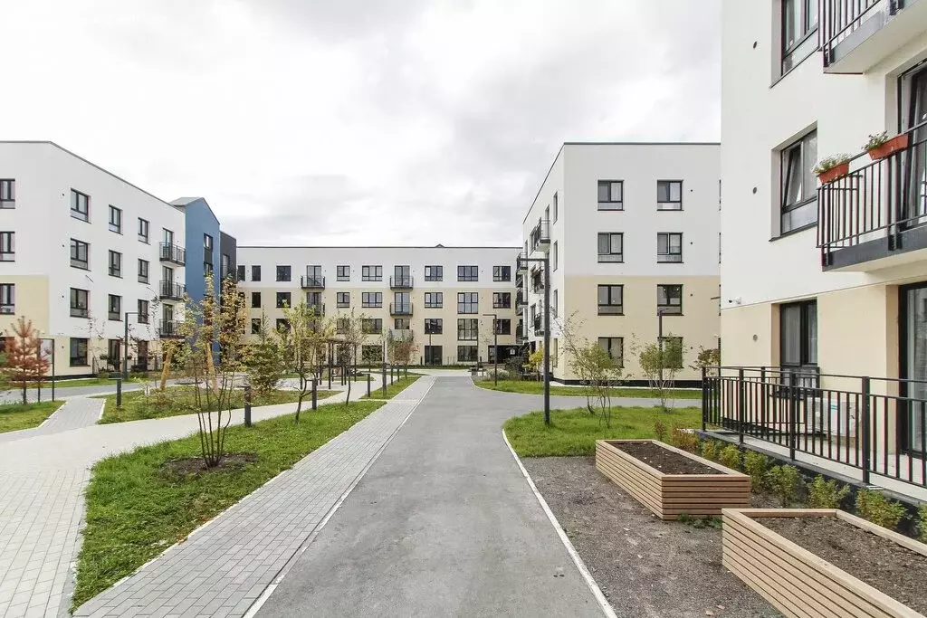 1-комнатная квартира: Тюмень, улица Александра Звягина, 10 (30.9 м) - Фото 2