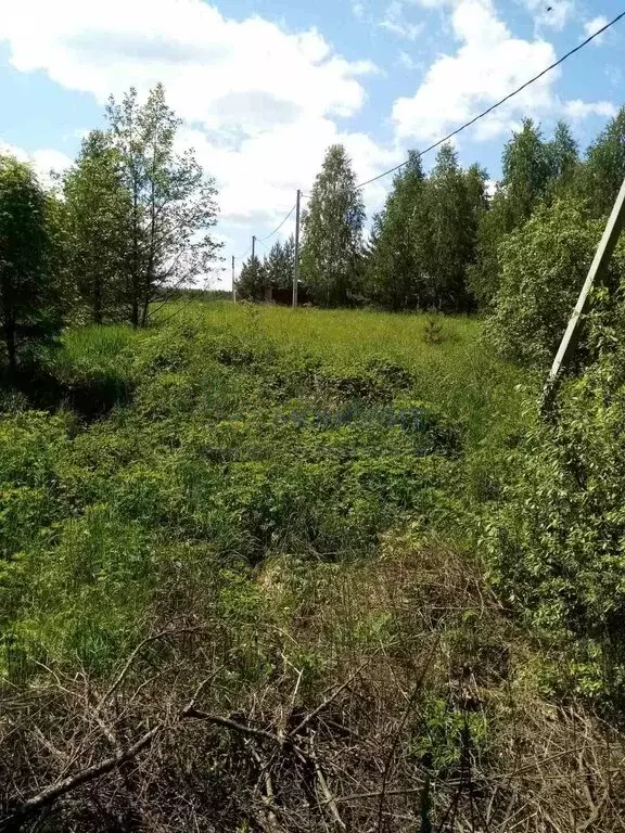 Участок в посёлок станции Суроватиха, Восточная улица, 27 (15 м) - Фото 0