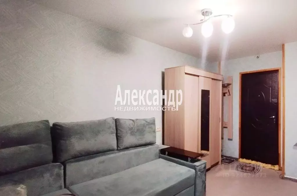 Комната Санкт-Петербург Дальневосточный просп., 24 (12.0 м) - Фото 2