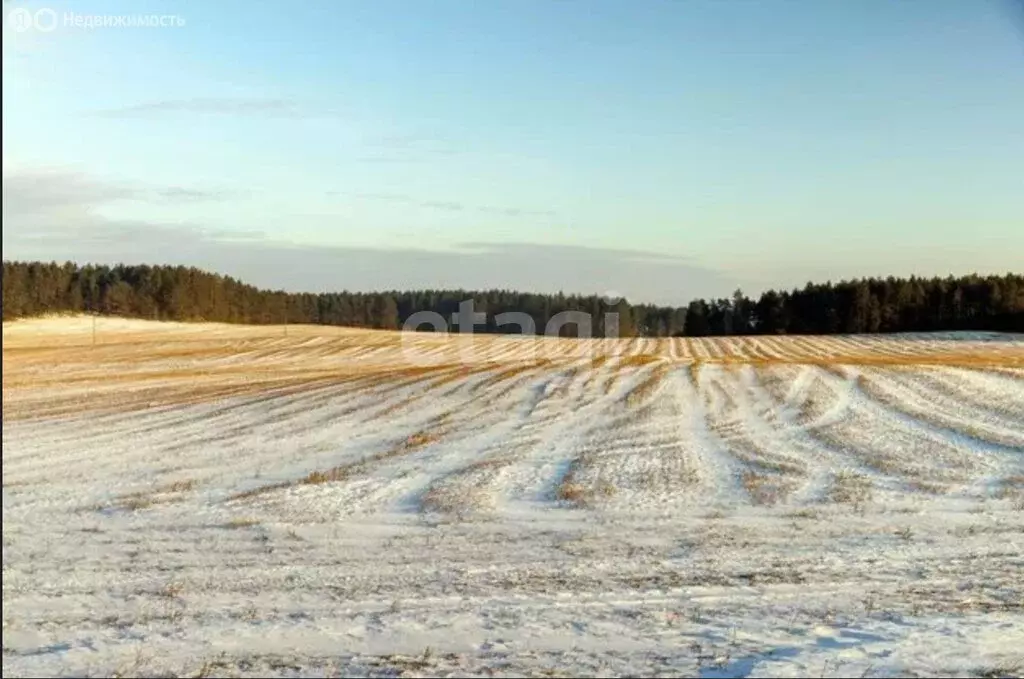 Участок в Кромской район, Кутафинское сельское поселение, деревня ... - Фото 1