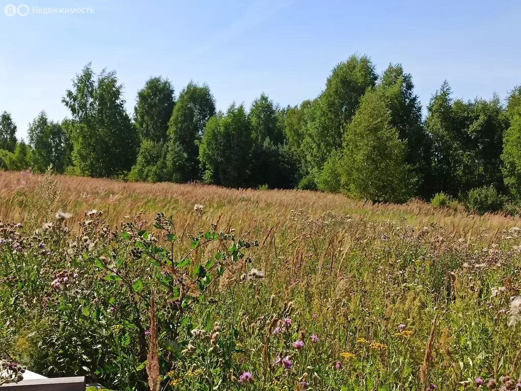 Участок в село Алексеево, 24 (40 м) - Фото 1