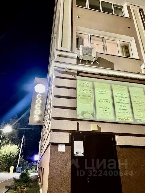 1-к кв. Нижегородская область, Бор Коммунистическая ул., 8 (43.7 м) - Фото 2