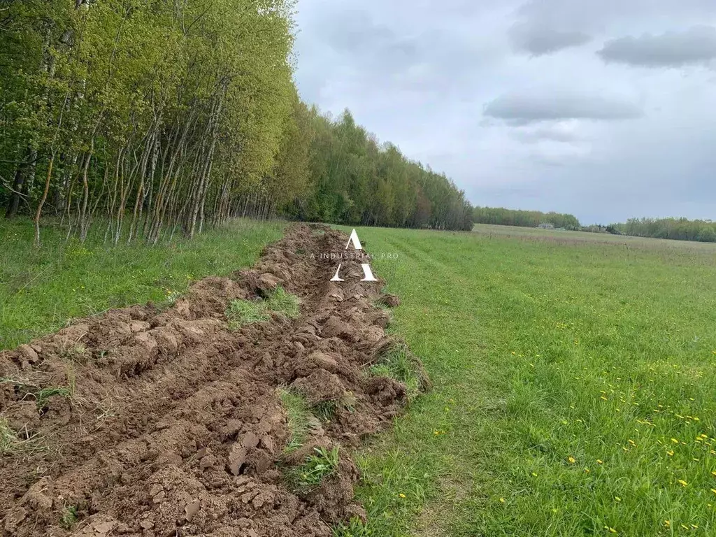 Участок, 550 сот., сельхоз (снт или днп) - Фото 1