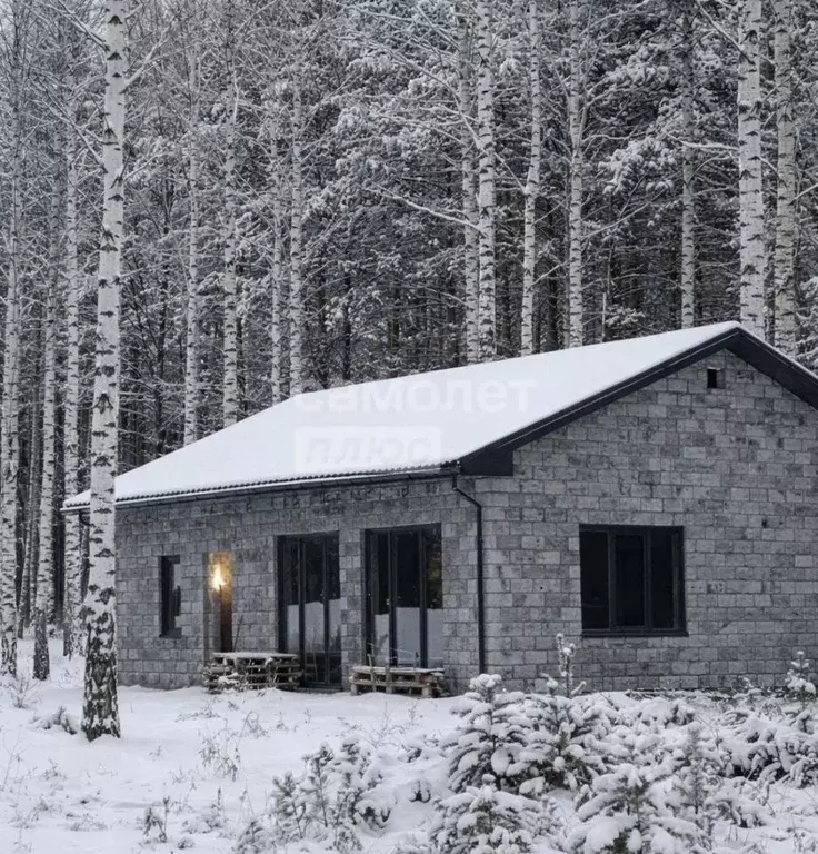 Дом в Томская область, Томск пос. Басандайка,  (90 м) - Фото 1