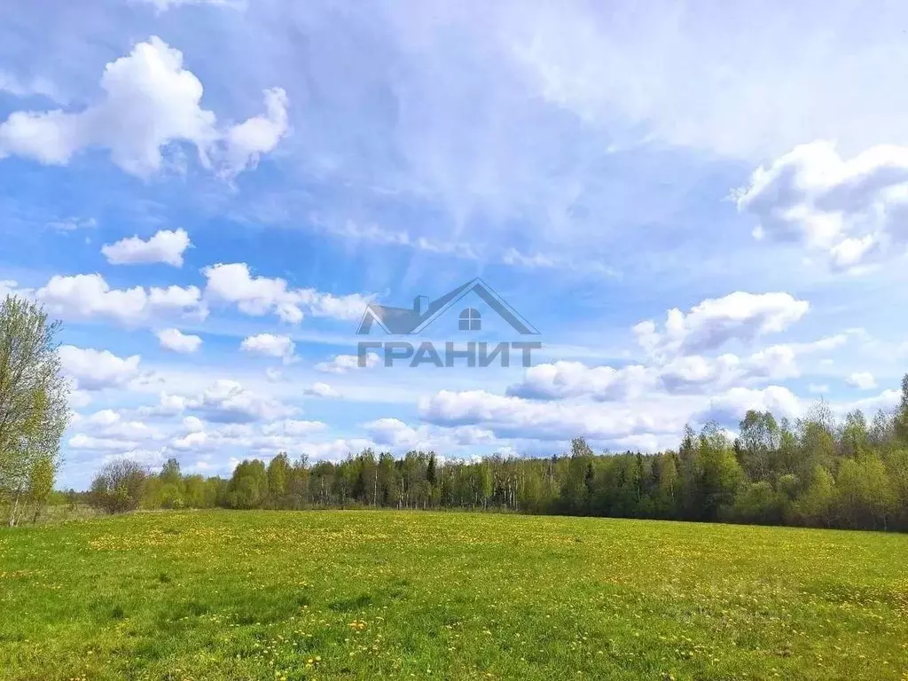 Участок в Новгородская область, Крестецкий муниципальный округ, с. ... - Фото 2