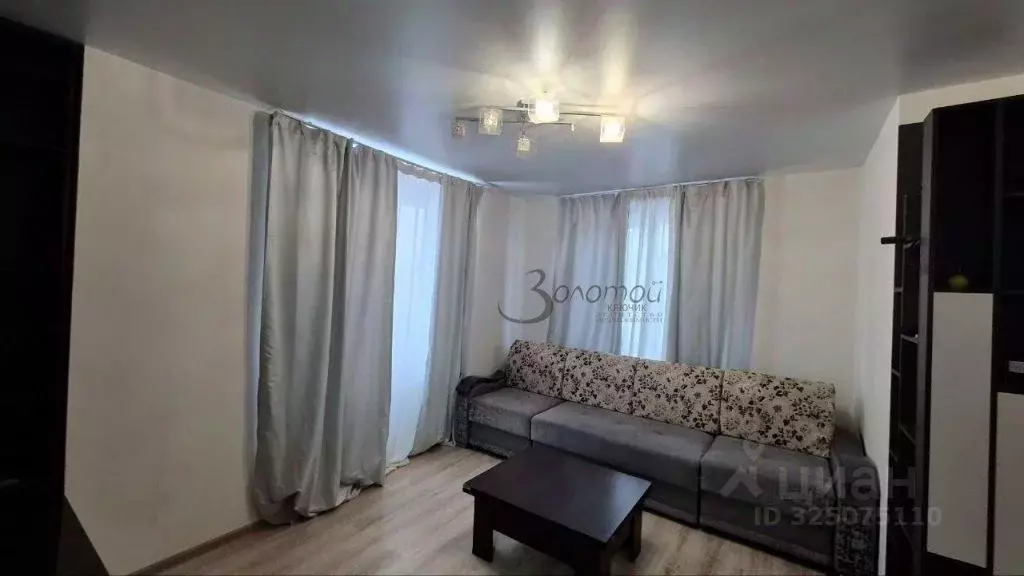 1-к кв. Нижегородская область, Нижний Новгород д. Анкудиновка, ул. ... - Фото 1