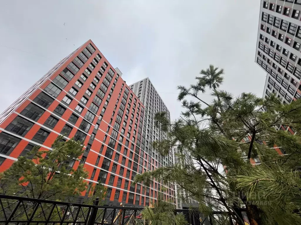 Студия Ленинградская область, Всеволожский район, Свердловское ... - Фото 1