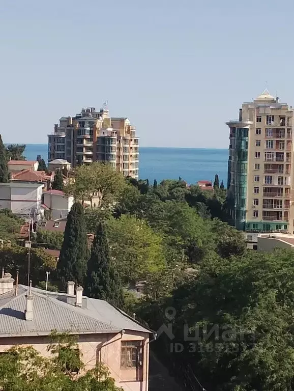 Студия Крым, Ялта ул. Руданского, 21А (33.0 м) - Фото 0