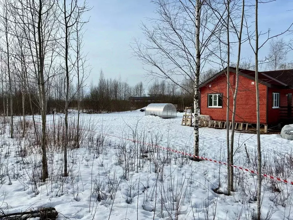 Участок в Новгородская область, Новгородский район, Савинское с/пос, ... - Фото 1
