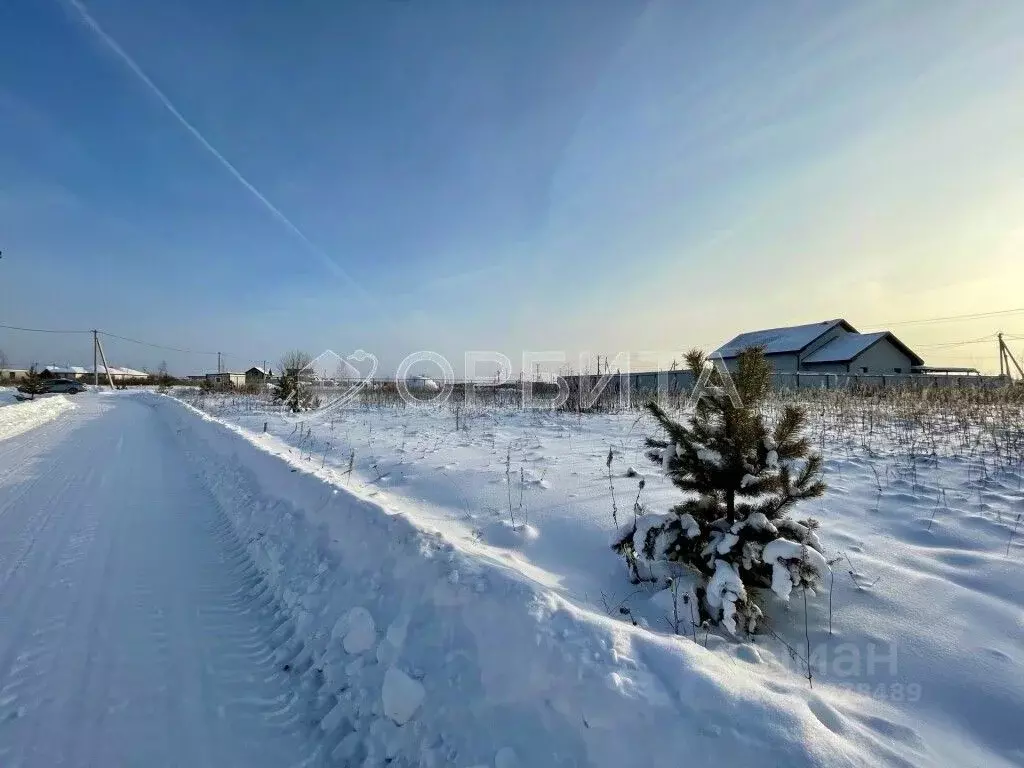 Участок в Тюменская область, Тюменский муниципальный округ, с. ... - Фото 2