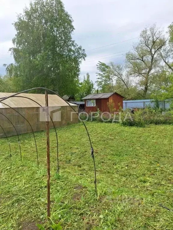 Участок в Новосибирская область, Новосибирск Ивушка садовое ... - Фото 1