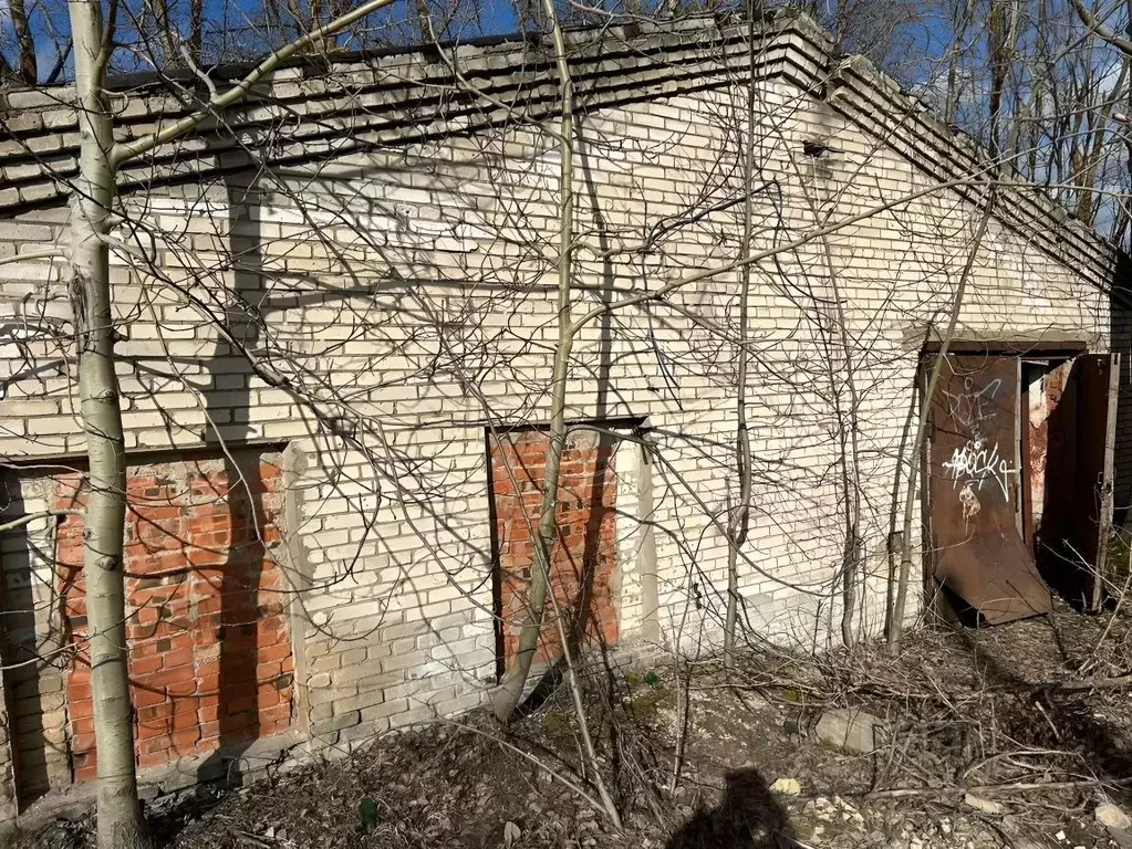 Помещение свободного назначения в Ленинградская область, Волосово ул. ... - Фото 0