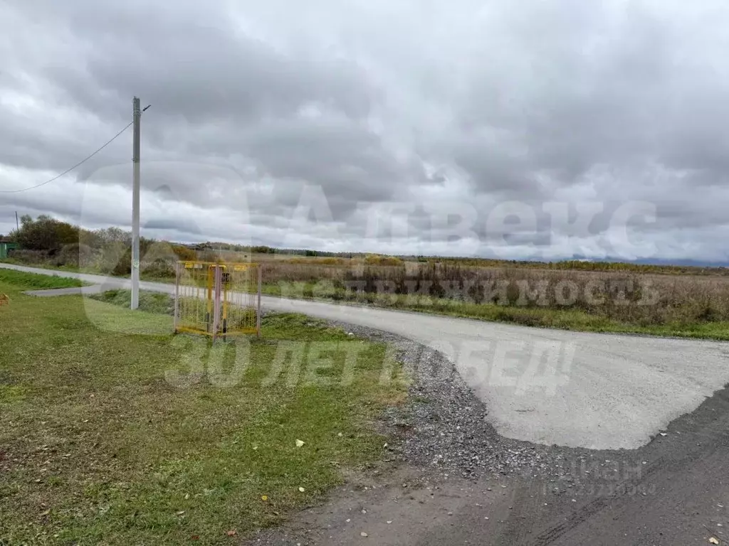 Участок в Тюменская область, Тюменский муниципальный округ, д. Речкина ... - Фото 1