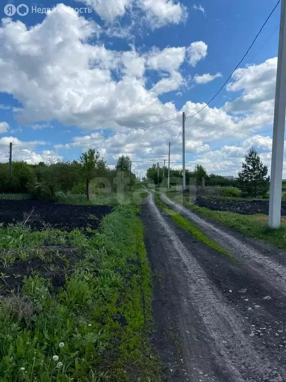 Участок в Лямбирский район, село Берсеневка (10 м) - Фото 1
