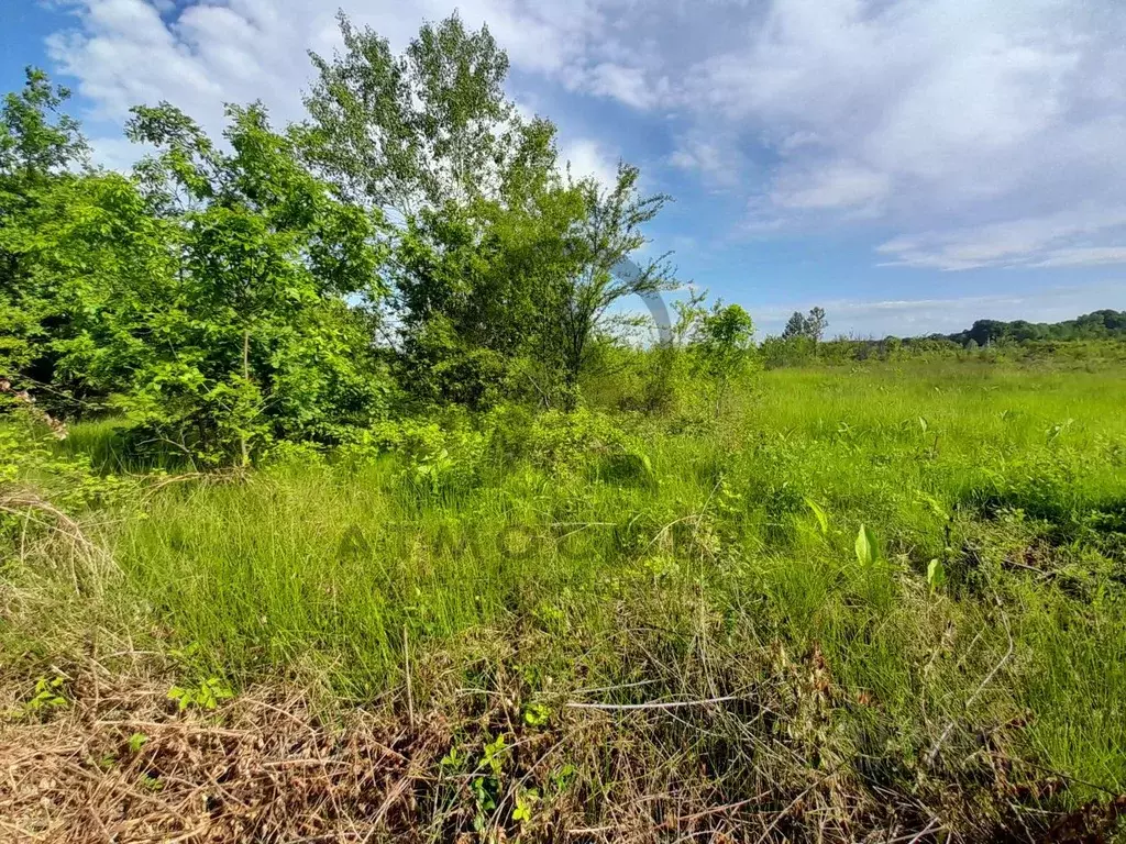 Участок в Краснодарский край, Апшеронск Малиновая ул. (10.0 сот.) - Фото 2