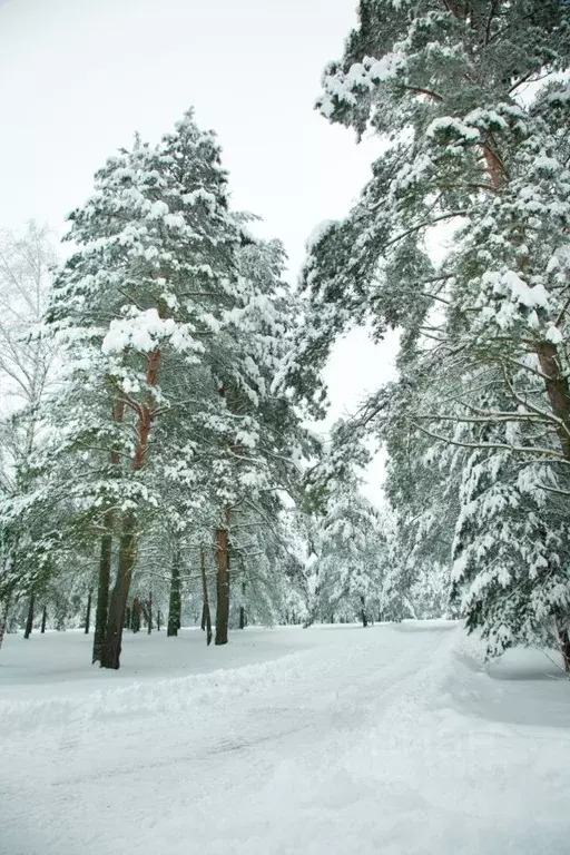 Дом в Московская область, Щелково городской округ, д. Первая ... - Фото 2