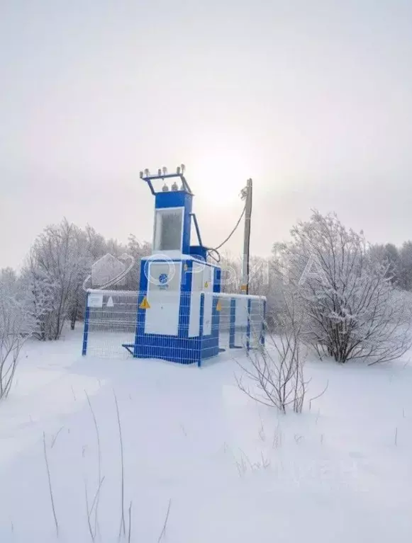 Участок в Тюменская область, Тюменский муниципальный округ, с. ... - Фото 1