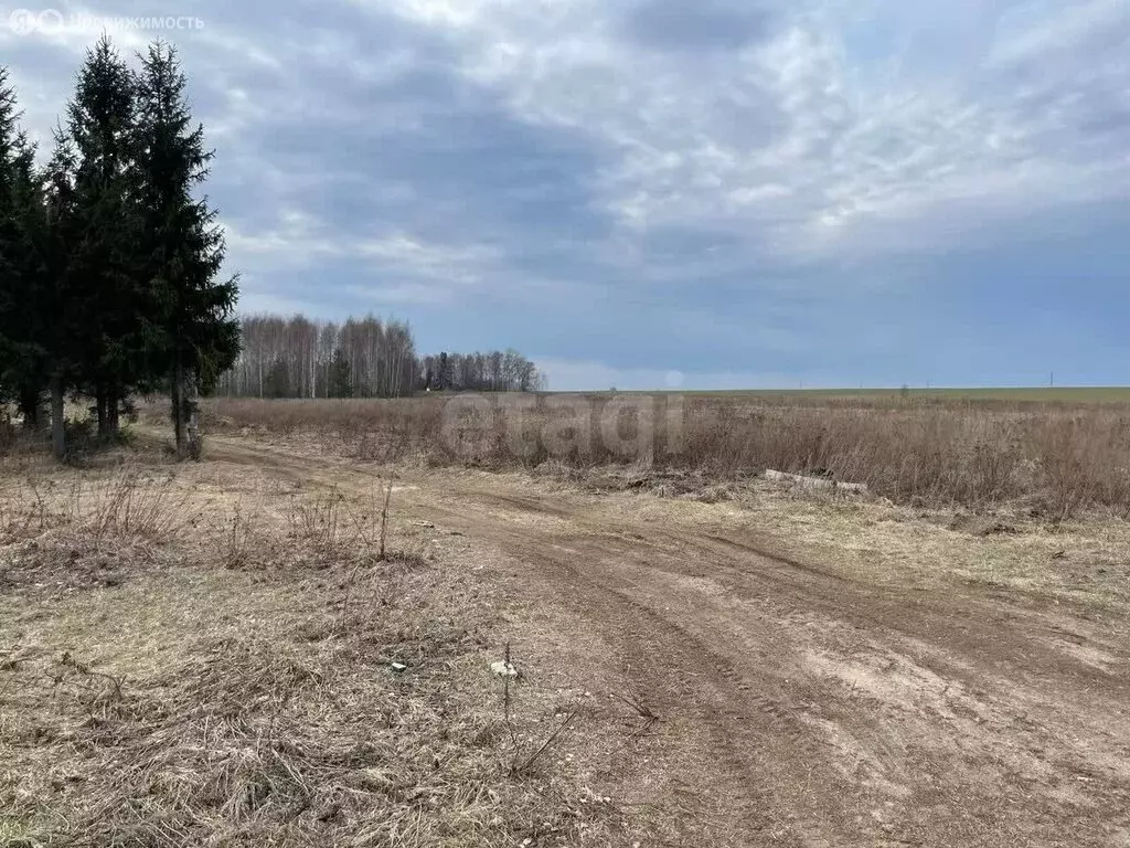 Участок в Владимирская область, Ковровский муниципальный округ, ... - Фото 2